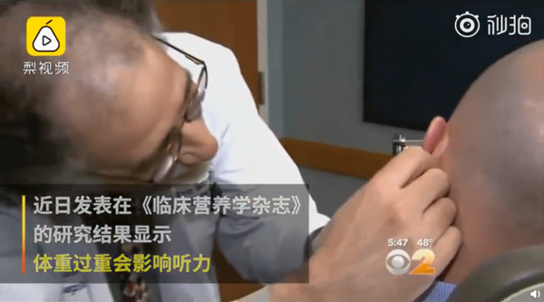 日本科学家：超重可能损害听力，破坏听觉毛细胞