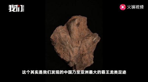 江西现霸王龙足迹：江西发现亚洲首例霸王龙足迹，该恐龙体长可能达7.5米