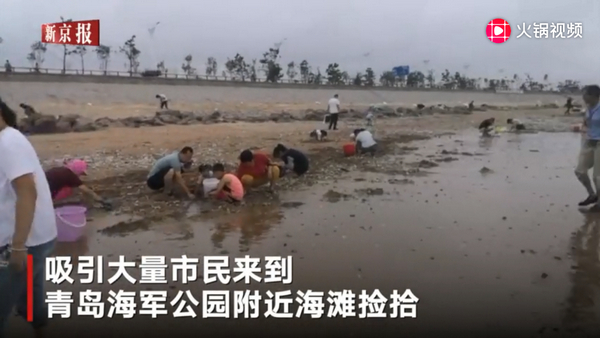 海鲜遍地！“利奇马”过境青岛，青岛市民拿蛇皮袋捡海鲜扛回家