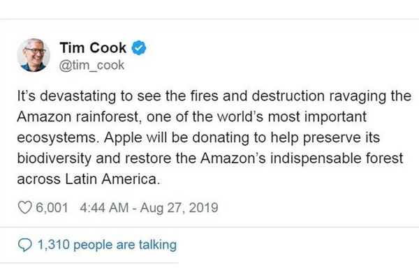 苹果公司首席执行官库克：苹果公司将捐款修复亚马逊雨林